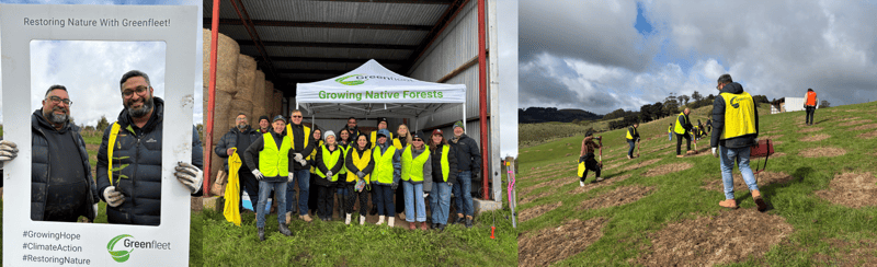 Greenfleet-2