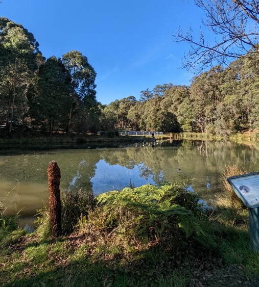 Kumar- lake