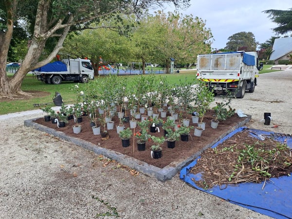 Mt-Albert-Memorial-Garden-Upgrade-Underway-2-1536x1152