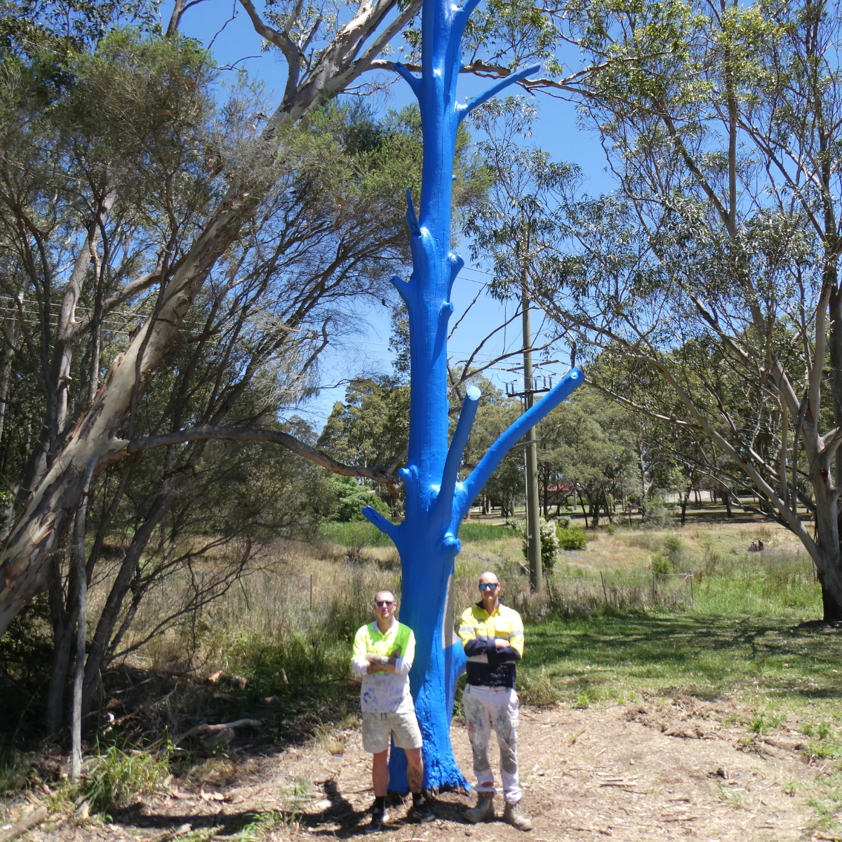 3ac20af6-c674-4b67-8fea-2a7f7199ab7a-upload_video-2