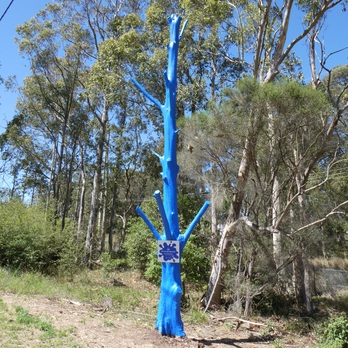 3ac20af6-c674-4b67-8fea-2a7f7199ab7a-upload_video-3