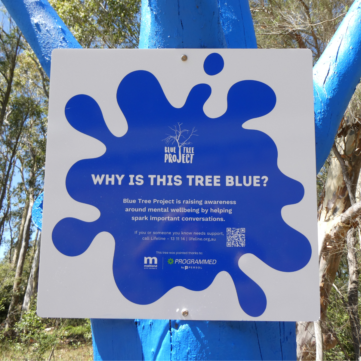 3ac20af6-c674-4b67-8fea-2a7f7199ab7a-upload_video-5