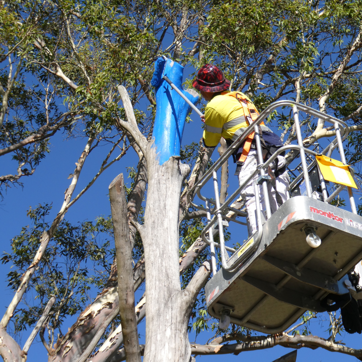 3ac20af6-c674-4b67-8fea-2a7f7199ab7a-upload_video-8