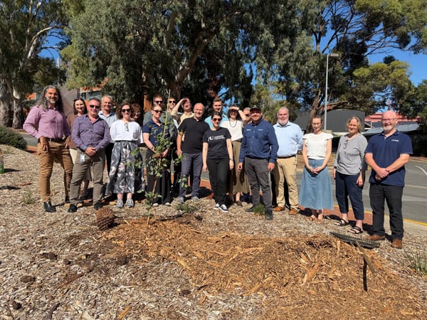 Tree Planiting - team photo