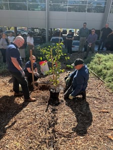 Tree Planting Photo 3