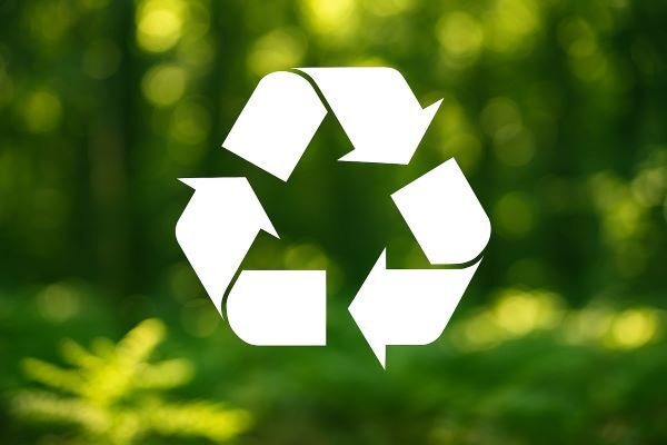 Sustainability Initiatives - August 2025