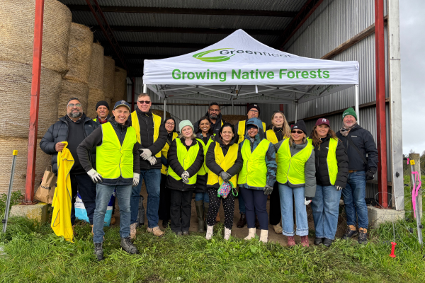 Restoring native forest to grow roots for the future