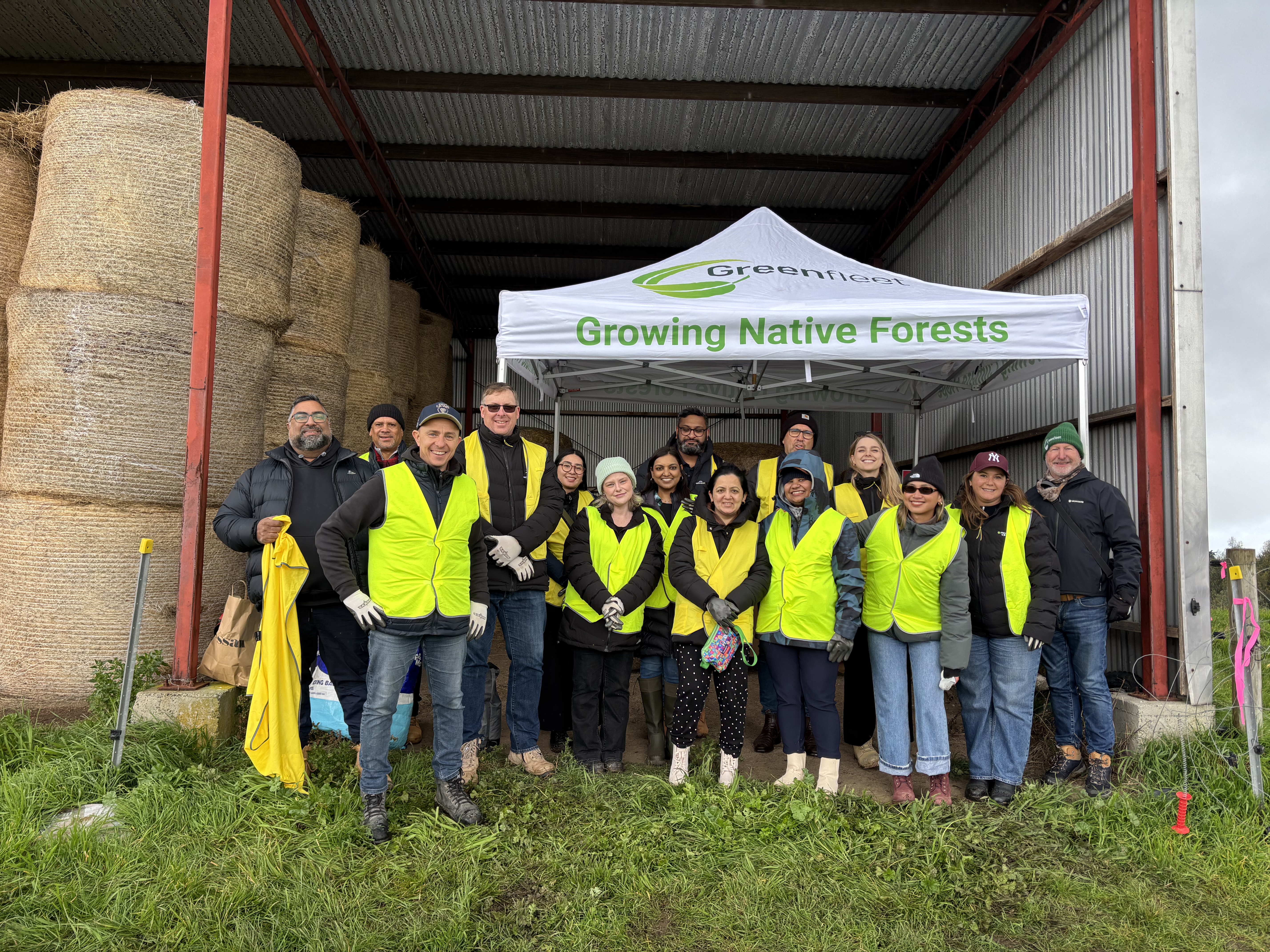 tree planting