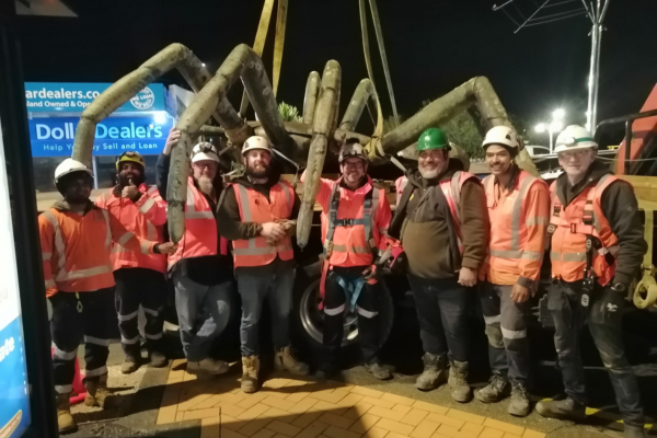 West Auckland icon 'Dale' safely removed to crawl away for another day