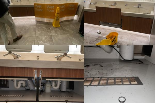 Bathroom basins no match for Programmed with yet another ring recovered