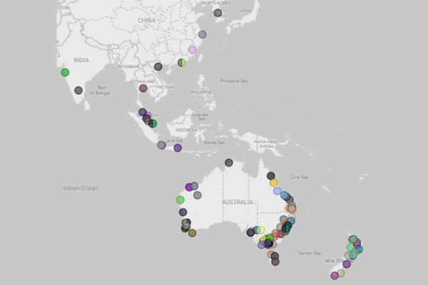 IT in Action – A faster, more reliable network with VMware VeloCloud