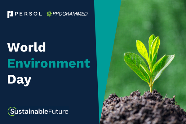 World Environment Day - How to support and sustainability case studies
