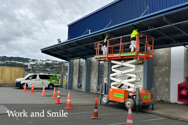 A brush with excellence from the Property Services Wellington branch