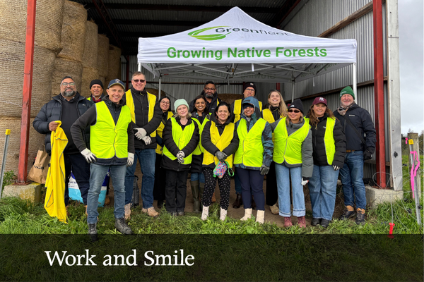 Celebrating a tree-mendous day in Gippsland